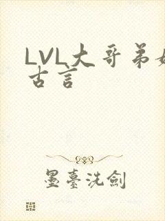 LVL大哥弟媳古言