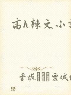 高h辣文小说