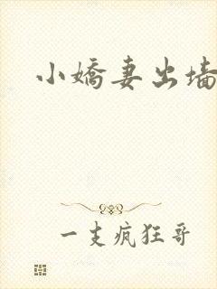小娇妻出墙记