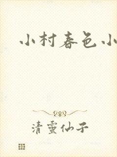 小村春色小说