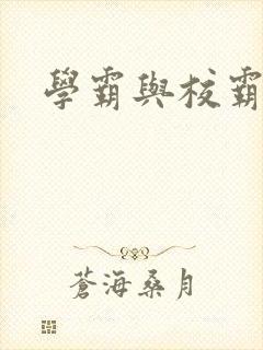 学霸与校霸