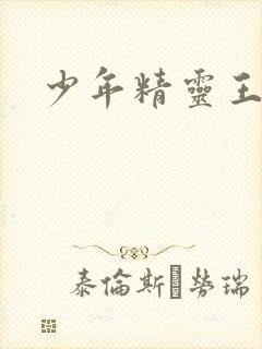 少年精灵王