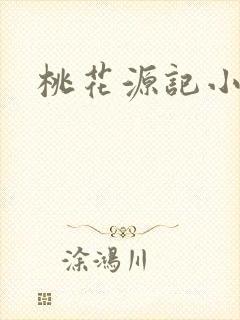 桃花源记小说封面