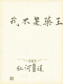 我不是药王封面