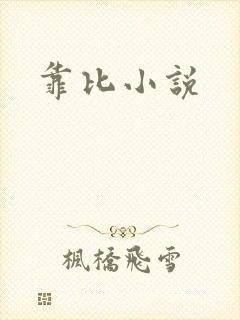 靠比小说