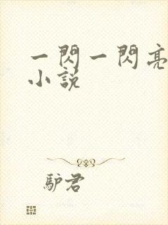 一闪一闪亮星星小说封面