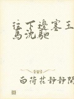 往下边塞玉器骑马沈驰封面