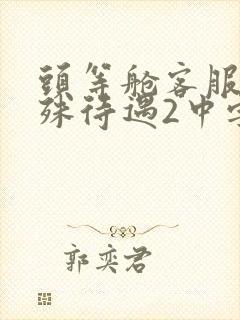 头等舱客服的特殊待遇2中字
