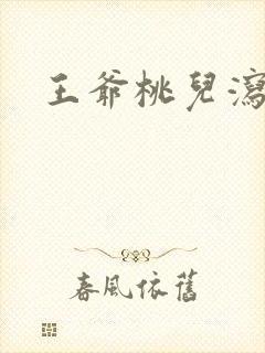 王爷桃儿泻了封面