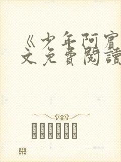 《少年阿宾》全文免费阅读