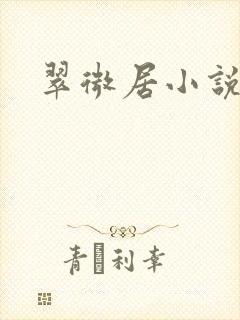 翠微居小说