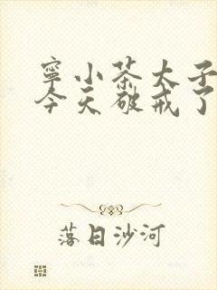 宁小茶太子殿下今天破戒了吗免费阅读