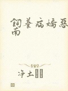 饲养病娇恶龙指南