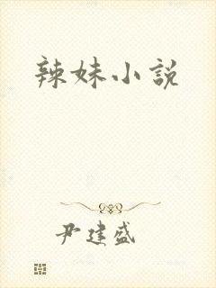 辣妹小说