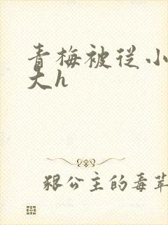 青梅被从小摸到大h封面