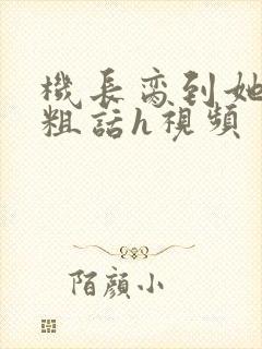 机长脔到她哭h粗话h视频