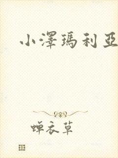 小泽玛利亚作品封面