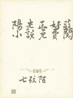 阳光正好苏玥玥小说免费阅读封面