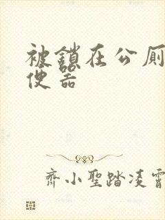 被锁在公厕当坐便器