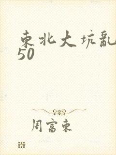 东北大坑乱1—50