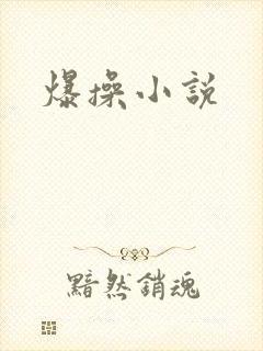 爆操小说