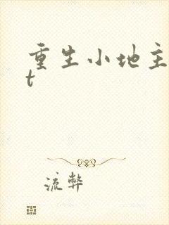 重生小地主txt