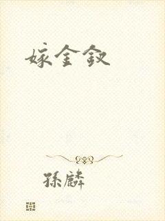 嫁金钗封面