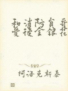 和消防员哥哥恋爱后金银花趣笔阁封面