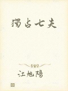 独占七夫封面