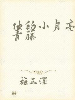 他的小月亮by青藤