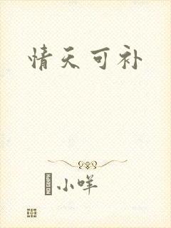 情天可补