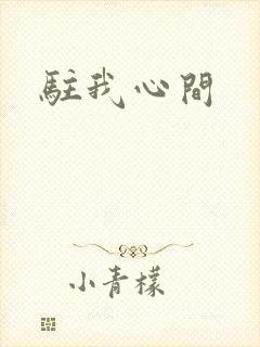 驻我心间