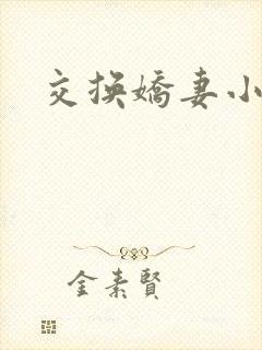 交换娇妻小说