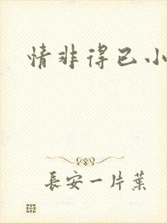 情非得已小说