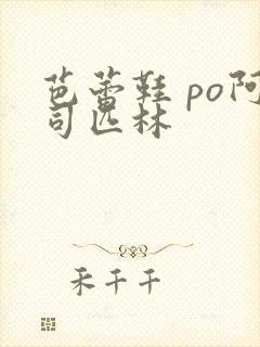 芭蕾鞋 po阿司匹林