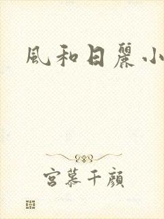 风和日丽小说封面