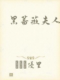 黑蔷薇夫人封面