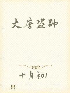 大唐盗帅