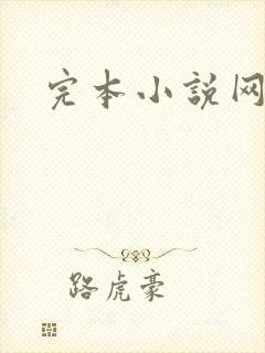 完本小说网封面