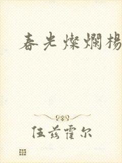 春光灿烂杨家将封面