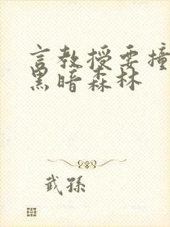 言教授要撞坏了黑暗森林