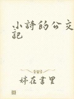 小诗的公交车日记