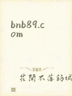 bnb89.com封面