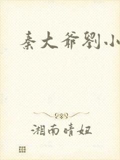 秦大爷刘小静封面