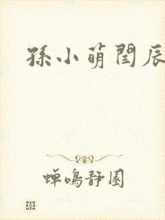 孙小萌闫辰封面