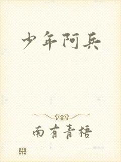 少年阿兵