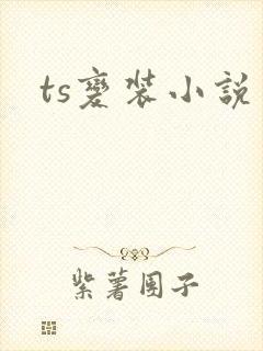 ts变装小说
