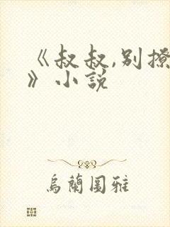 《叔叔,别撩我》小说