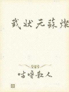 武状元苏灿封面