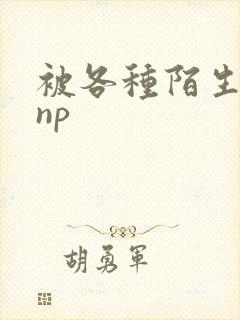 被各种陌生人 np封面